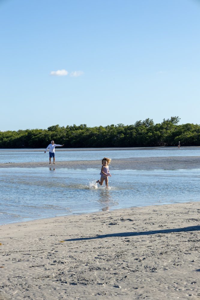 A child on the sandbar